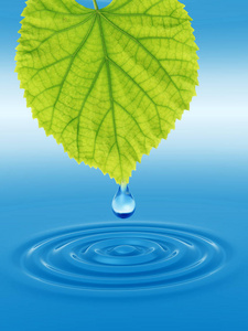 概念或概念清洁泉水或露珠从绿色的新鲜叶子上落在三维插图蓝色的清水上，使波浪