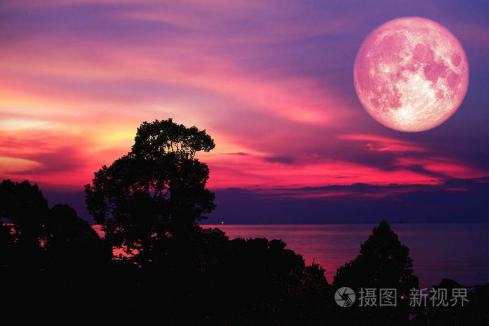 粉红色月亮背面剪影树和云在夜空中的元素这幅图像由美国宇航局提供
