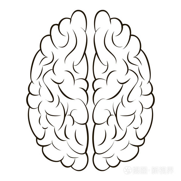 脑符号图标回, 向量左右脑子, 精神信息和知识的概念插画-正版商用