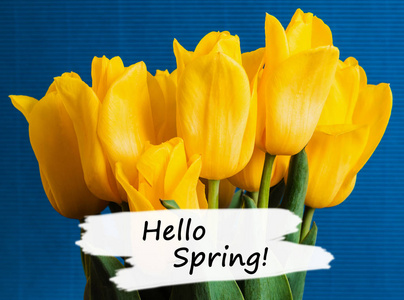 s Day or 8th of March festive theme with text hello spring.