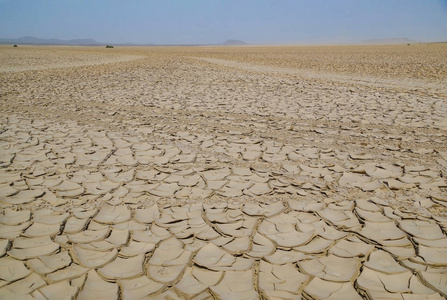 关注全球变暖低碳生活图片