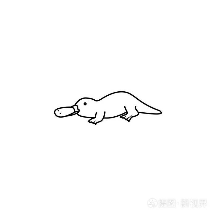 鸭嘴兽图片简笔画图片