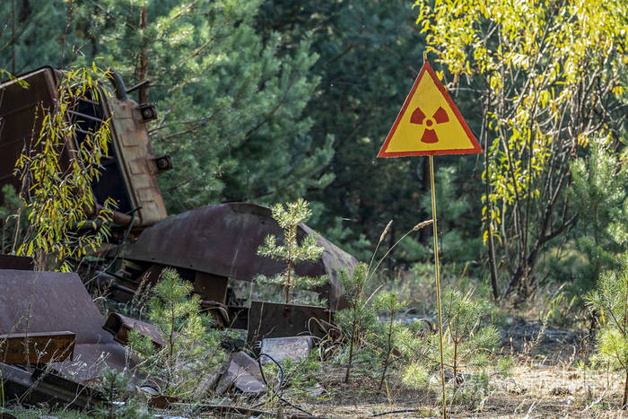 放射性垃圾背景下的辐射危害迹象