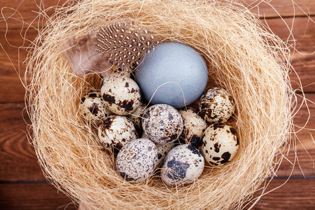 棕色木桌上有复活节彩鸡蛋鹌鹑蛋和羽毛的树枝和稻草窝。 鸡和鹌鹑蛋天主教和东正教复活节假期