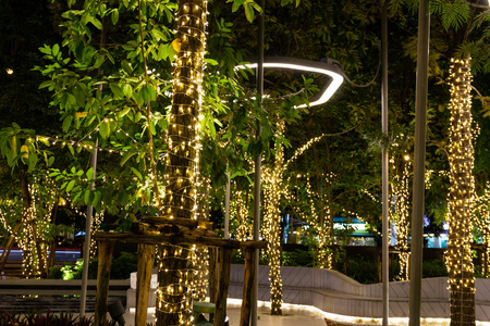 装饰户外LED串灯挂在花园树上的夜晚，节日，季节，装饰圣诞灯，新年快乐