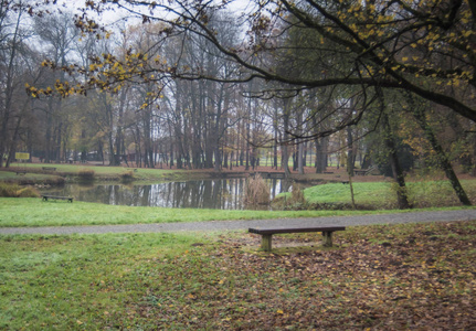 秋天和阴天有小湖的公园里的长凳