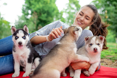 一个美丽的微笑的女人, 马尾和条纹衬衫拥抱与三个甜哈士奇小狗, 而休息在草坪上的红色毯子。对宠物的爱和关怀
