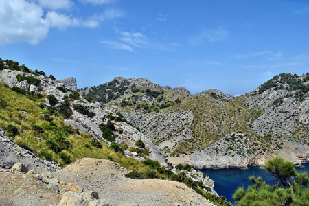 美丽的海湾，有绿松石的水滩和山，在马略卡帽上的卡拉菲涅拉，西班牙