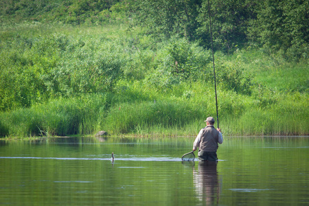 夏天在湖边钓鱼。 一个人用鱼竿和网把鱼从河里拉出来。 美丽的夏日风景。 许多绿色植被反映在水中。 夏季。