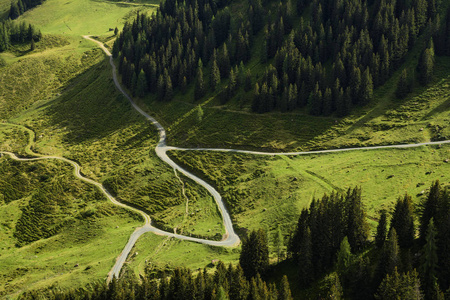 美丽的风景，在两个小时的小径，Wildseeloder房子和Wildsee湖历史和自然保护区在阿尔卑斯山费伯布伦奥地利。 拍拍青