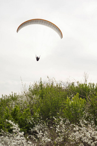 滑翔伞在春天飞过田野和盛开的山腰。在乌克兰的第聂斯特河附近的春天的田野和草地上滑翔。