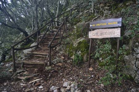 通往格鲁托尼莫里斯的道路