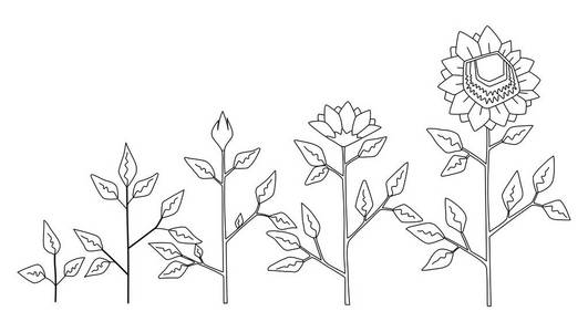 向量向日葵植物生长阶段着色概念 抽象花标志查出在白色背景 向日葵生命周期 扁平风格插画 正版商用图片18fvoy 摄图新视界