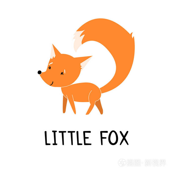 可爱的小狐狸矢量插图,你的设计eps10