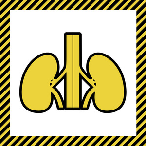 人体解剖学。 肾脏信号。 矢量。 温暖的黄色图标与黑色轮廓在框架命名为正在建设的白色背景。 孤立的。