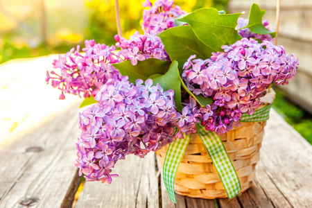 生态自然春季概念。 花束美丽的气味紫罗兰紫色紫丁香在花瓶上的乡村木制背景。 鼓舞人心的自然花卉春天开花园或公园