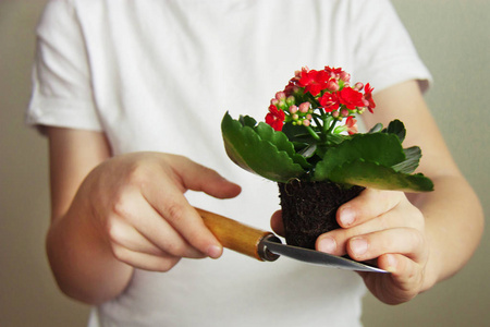 s hands of a child dressed in a white Tshirt with a garden tool