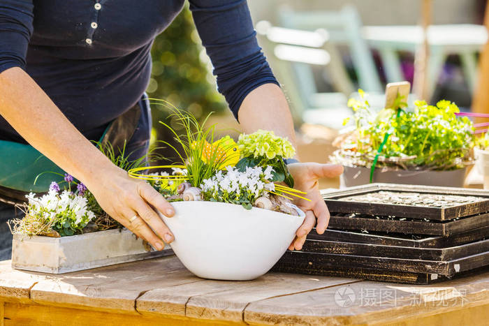 在花店或苗圃里工作的女花匠或园丁