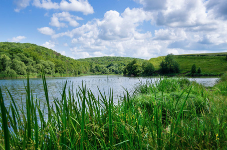 美丽的夏天景观在湖面上，绿草和蓝天。