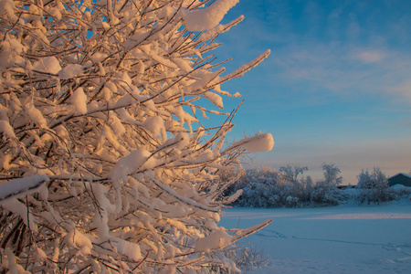 阿汉格尔斯克地区。 莱夫科夫卡村附近的冬天。 雪覆盖了田野和道路。