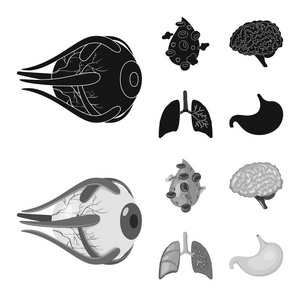 生物和科学标志的向量例证。网络生物学和实验室股票符号集