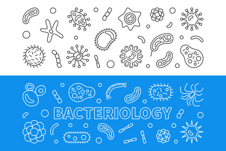 细菌学水平轮廓横幅。向量例证