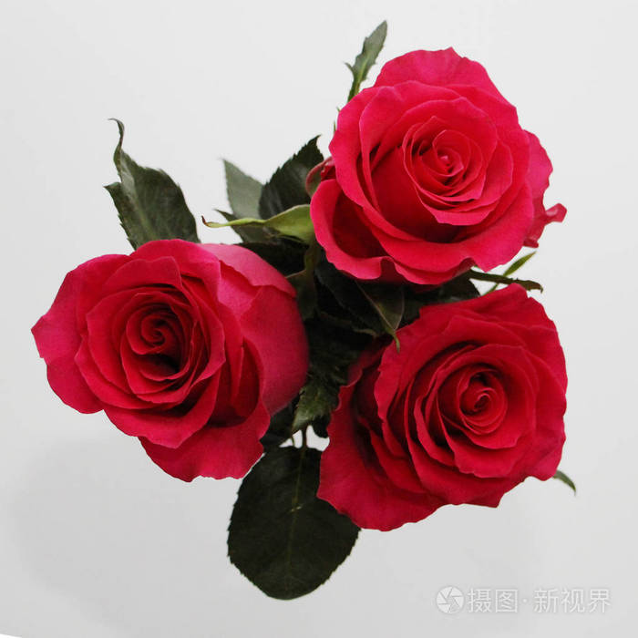 一束三朵红玫瑰躺在白色的背景上适合贺卡的照片