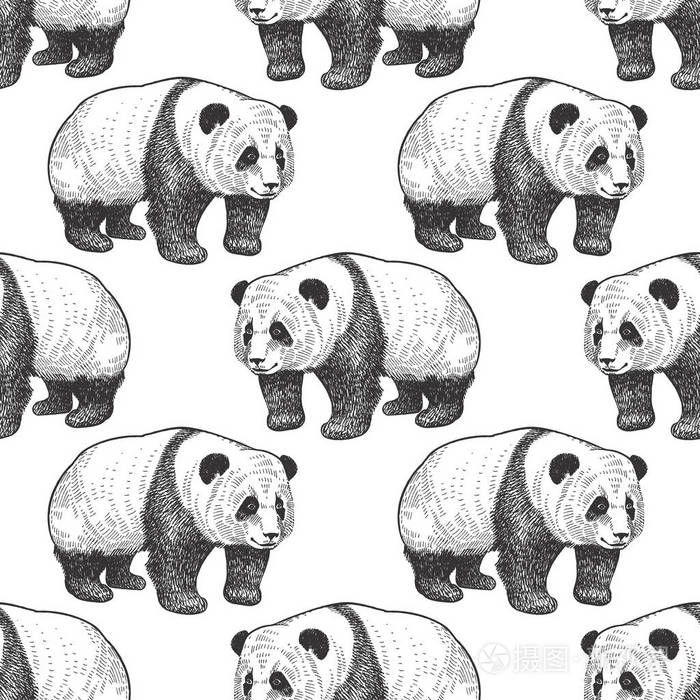 熊猫熊. 与中国动物无缝图案. 野生动物的手绘. 矢量插图艺术.