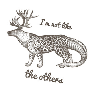 黑色凯门鳄图片