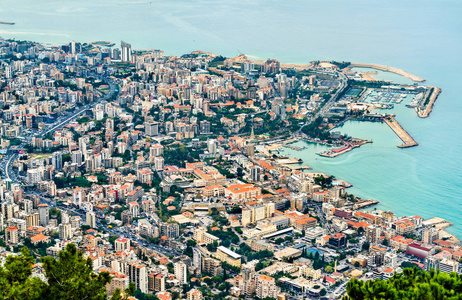 黎巴嫩 jounieh 鸟图