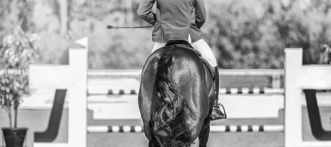 壁纸黑白肌肉男图片