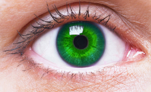 s green eye close up