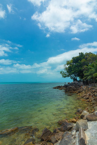 海边唯美视频泰国海景,海边有白沙和棕榈树,靠近大海照片