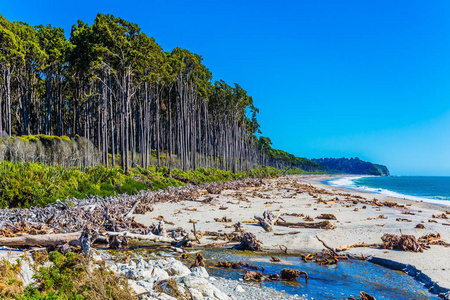 新西兰南岛风景如画的海岸。到天涯海角的旅程..太平洋的海浪。照片与生态旅游的概念