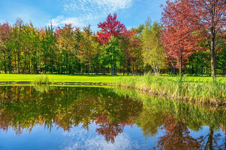 在法国的加拿大阳光明媚.公园的美景.康乐旅游概念照片
