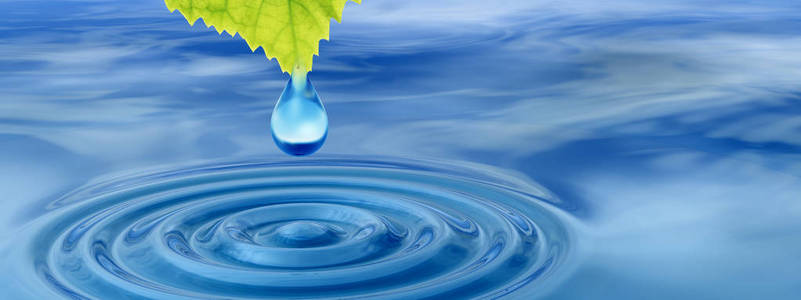 概念或概念清洁泉水或露珠从绿色的新鲜叶子上落下3D插图蓝色的清水，波浪横幅