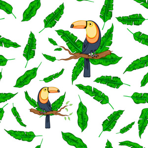 异国情调的热带绿叶与时尚的鸟 toucan 白色背景。矢量无缝组合