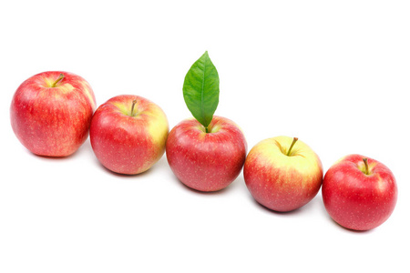白色背景上分离的新鲜苹果。