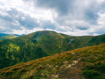 夏季山区景观。 绿色的草地。 高高的山丘。