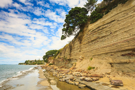 s many layers. The trees clinging to the top hold the cliff face