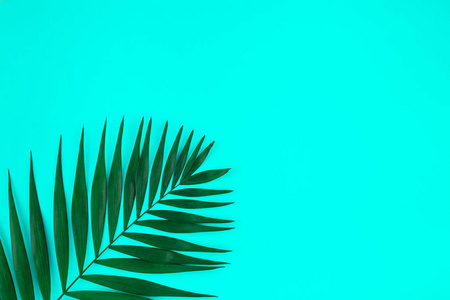 创意平躺顶部的绿色热带棕榈叶在彩色纸背景与复制空间。 最小热带棕榈叶植物夏季概念模板，您的文本或设计
