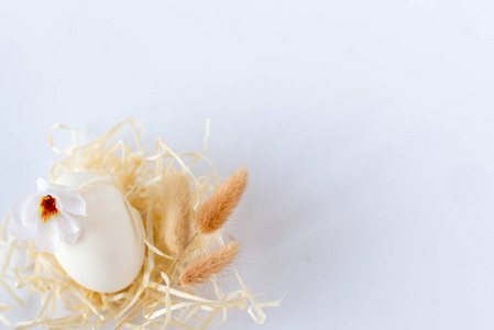 复活节鸡蛋分离在白色上。 复活节背景与复活节鸡蛋。 顶部视图与复制空间。