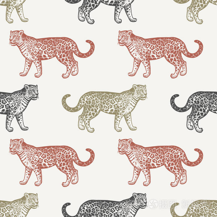 夏季与南美洲动物无缝图案. 美洲虎. 彩色背景上的红色,黑色,绿色动物