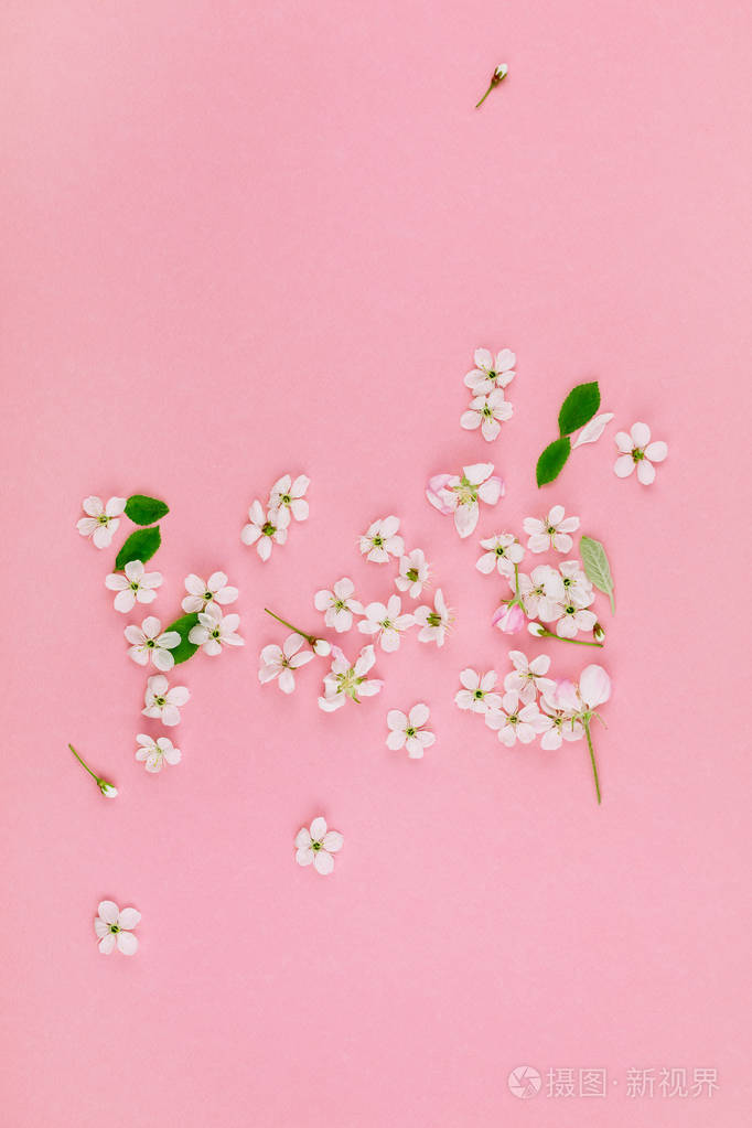 创意顶景樱花盛开的花朵框架图案,千禧年粉红色背景,复制空间,以最小