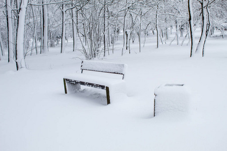 雪覆盖了城市公园里的长凳，雪在城市里，雪在城市里，树在白雪中