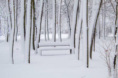 雪覆盖了城市公园里的长凳，雪在城市里，雪在城市里，树在白雪中