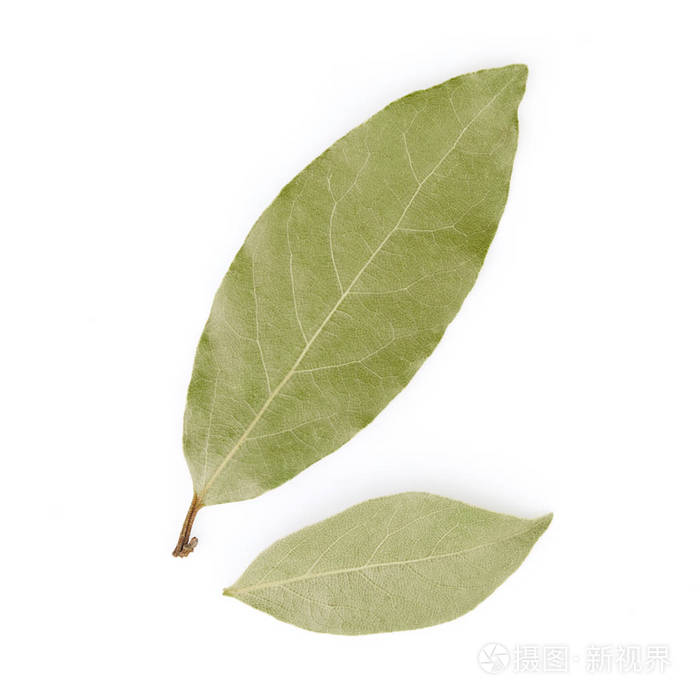 月桂树叶关闭于白色背景上的孤立照片 正版商用图片18jk5g 摄图新视界