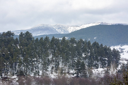 GolcukBolu火鸡冬季雪景