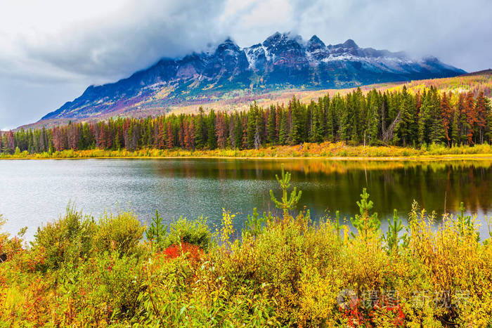 风景如画的湖泊,群山之间有蔚蓝的水,五颜六色的针叶林和草.