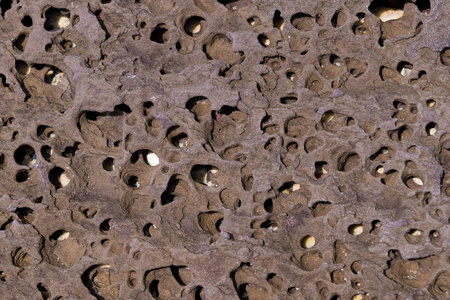 岩石背景纹理海洋环境中矿物岩的抽象形成